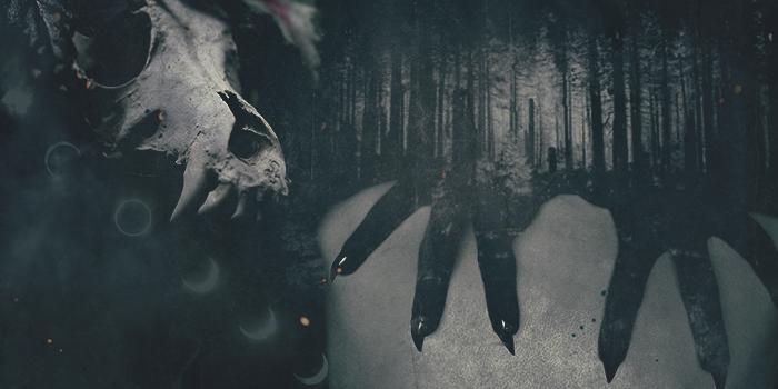 Skull-themed header