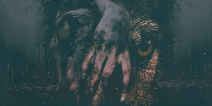 Wolf-themed header